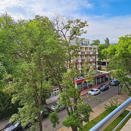 Excelsior Sunny Daire
